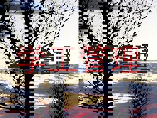 学工管理