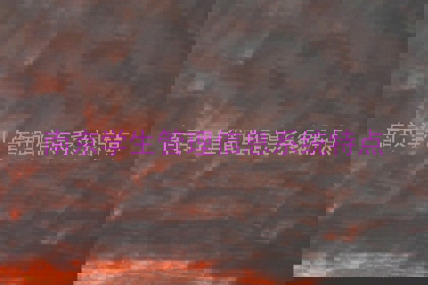 南京学生管理信息系统特点