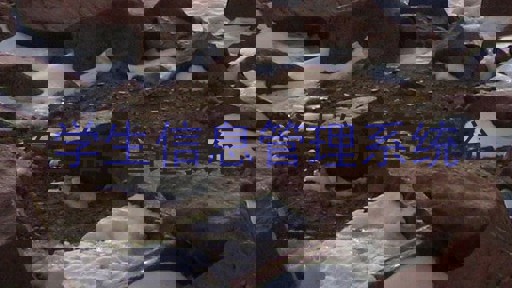 学生信息管理系统