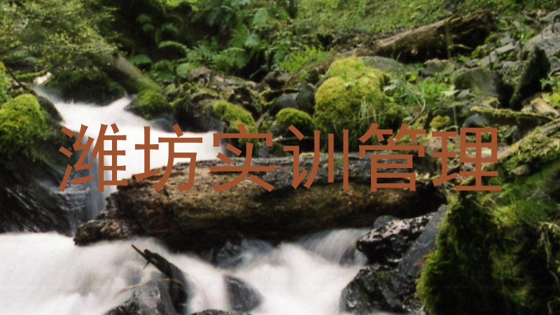 潍坊实训管理