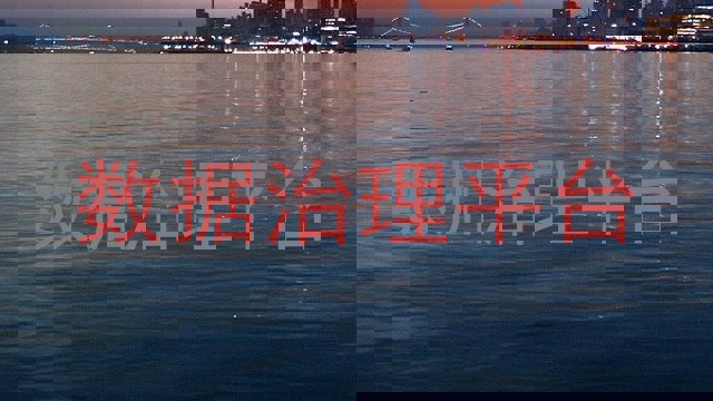 数据治理平台
