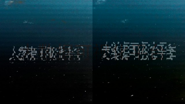 大数据可视化平台