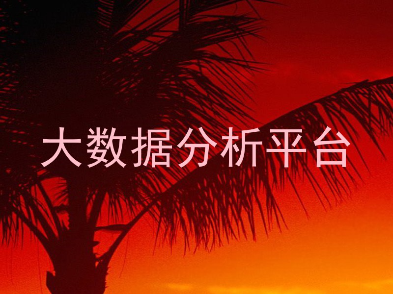 大数据分析平台