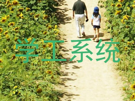 学工系统