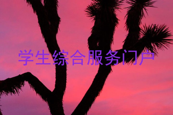 學(xué)生綜合服務(wù)門(mén)戶