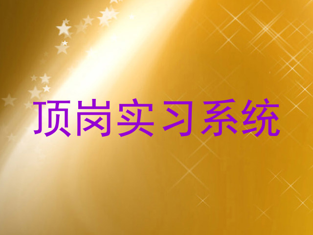 顶岗实习系统