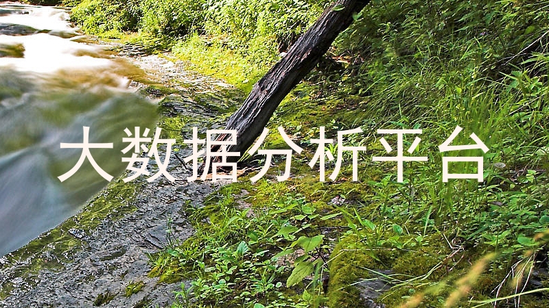 大数据分析平台