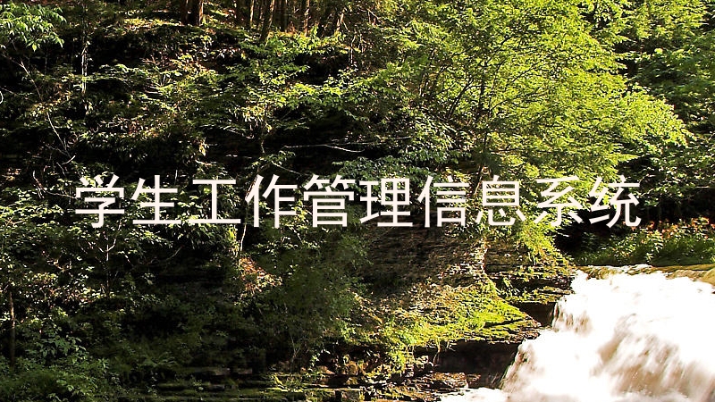 学生工作管理信息系统
