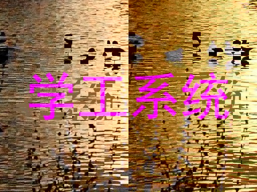 学工系统
