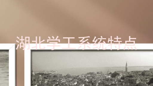 湖北学工系统特点