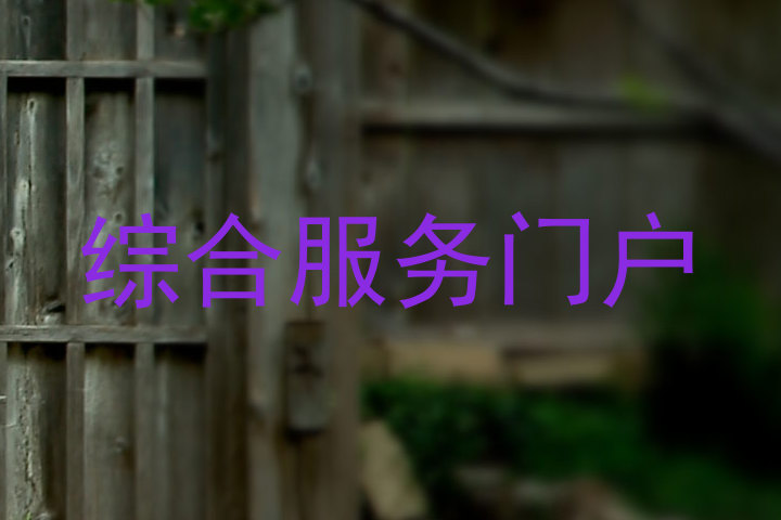 綜合服務(wù)門戶