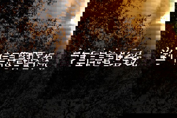 学生信息管理系统