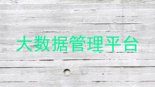 大数据管理平台