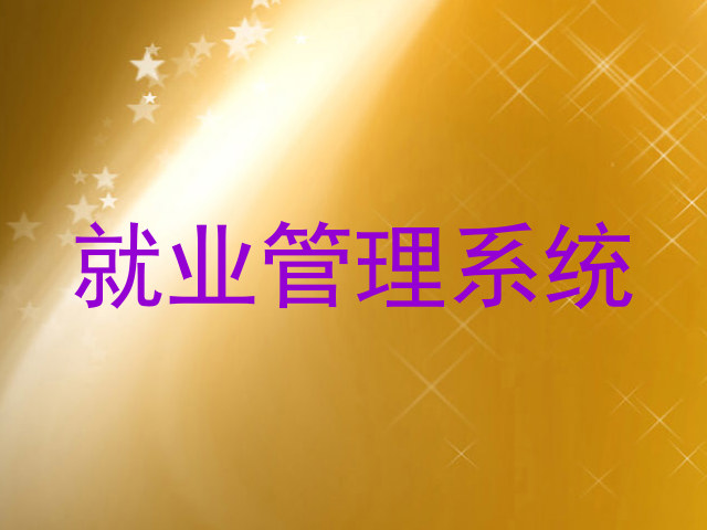 就业管理系统