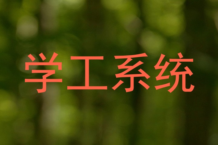 学工系统