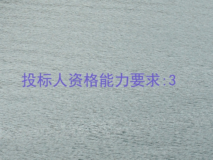 投标人资格能力要求:3
