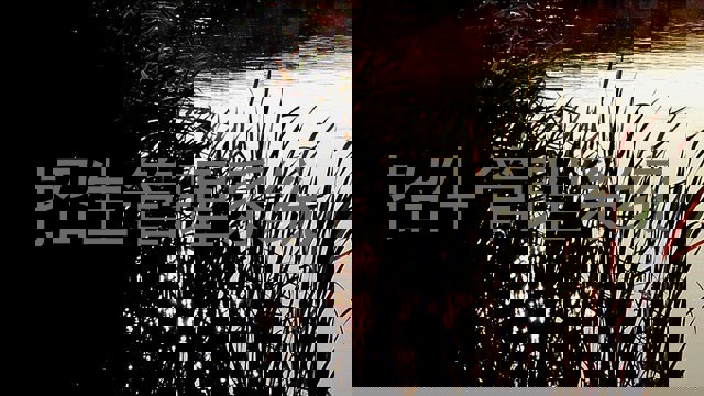 招生管理系统