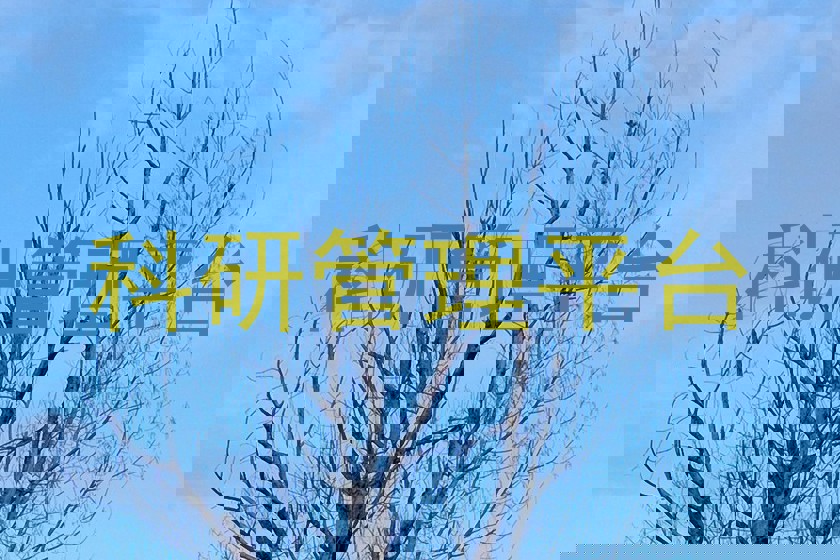 科研管理平台