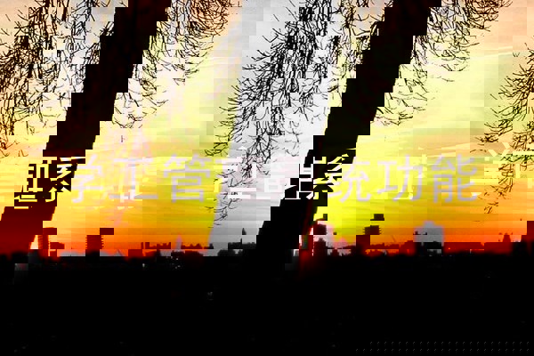 学工管理系统功能