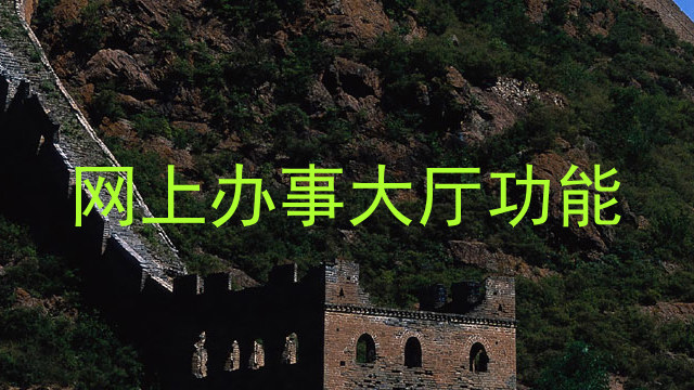网上办事大厅功能