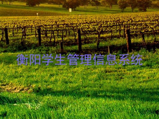 衡阳学生管理信息系统