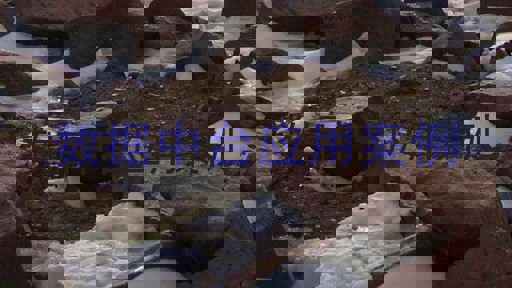 数据中台应用案例