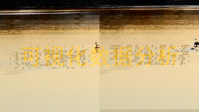 可视化数据分析