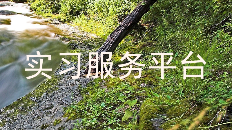 实习服务平台