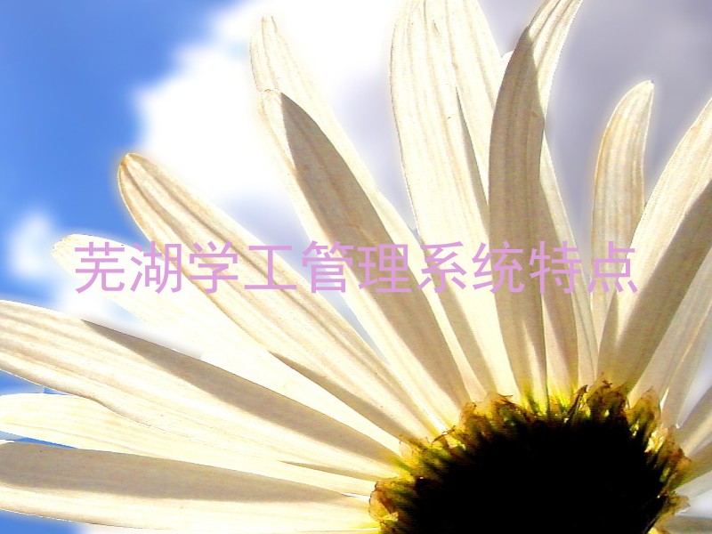 芜湖学工管理系统特点