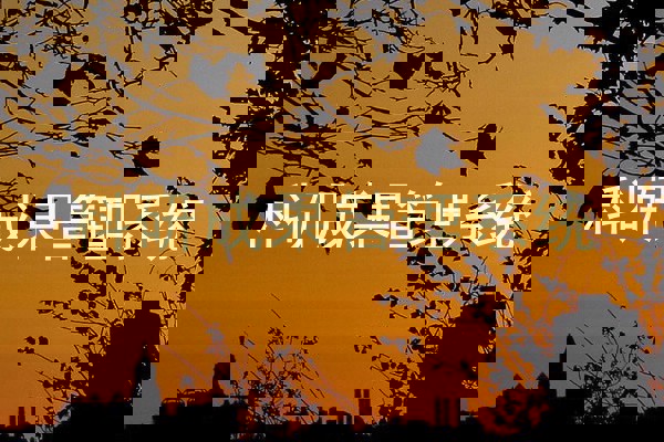 科研成果管理系统