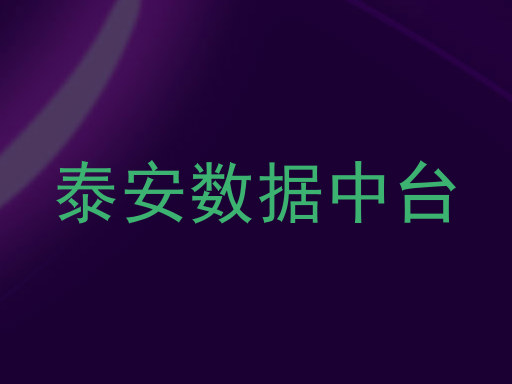 泰安数据中台