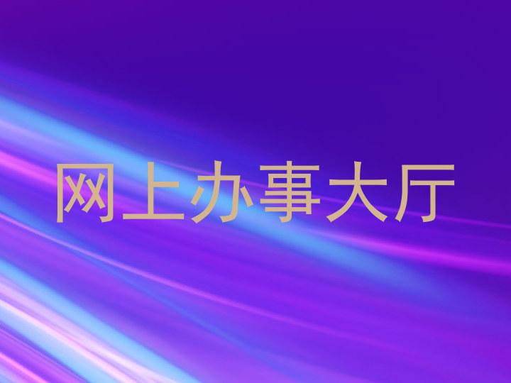 网上办事大厅