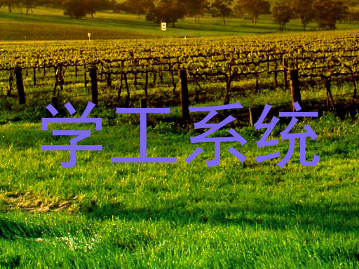 学工系统
