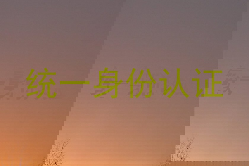 统一身份认证