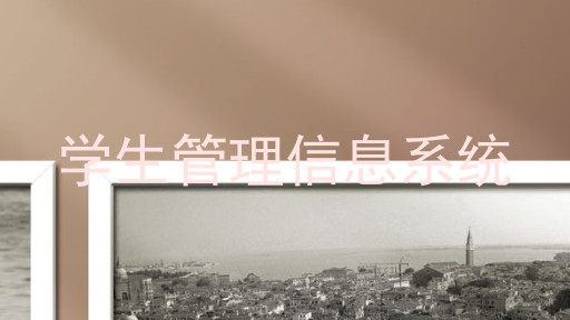 学生管理信息系统