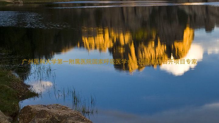 广州医科大学第一附属医院国家呼吸医学中心团队成功召开项目专家