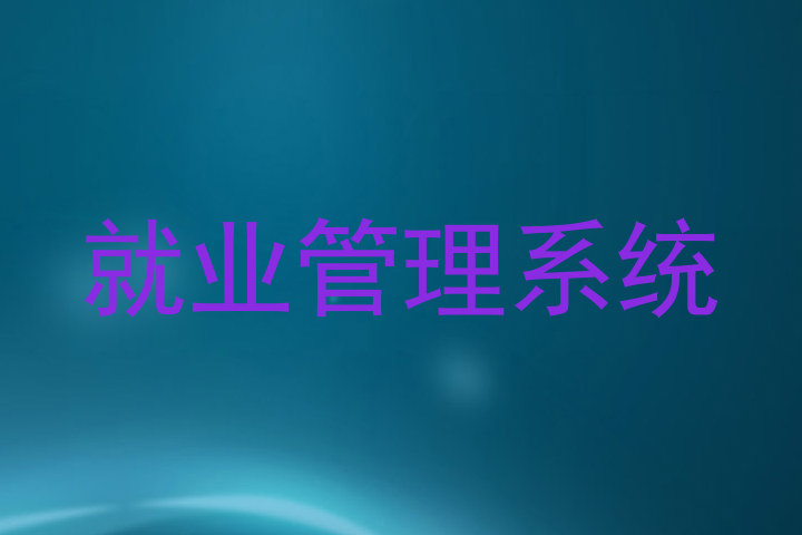 就业管理系统