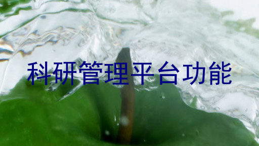 科研管理平台功能