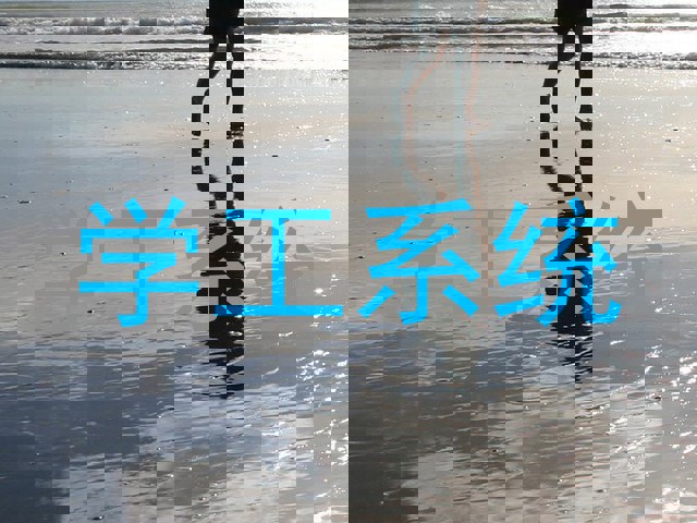 学工系统