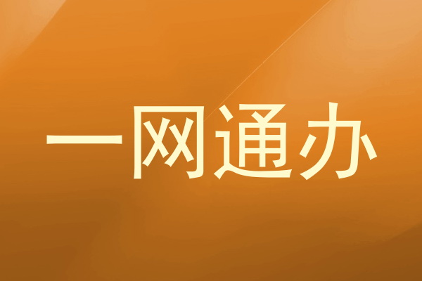 一网通办