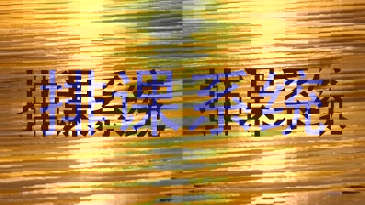 排课系统