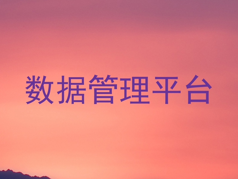 数据管理平台