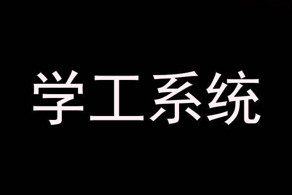 学工系统