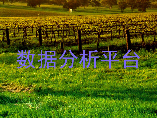 数据分析平台