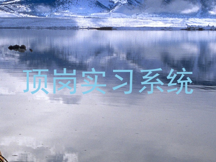 顶岗实习系统
