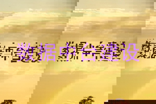 数据中台建设