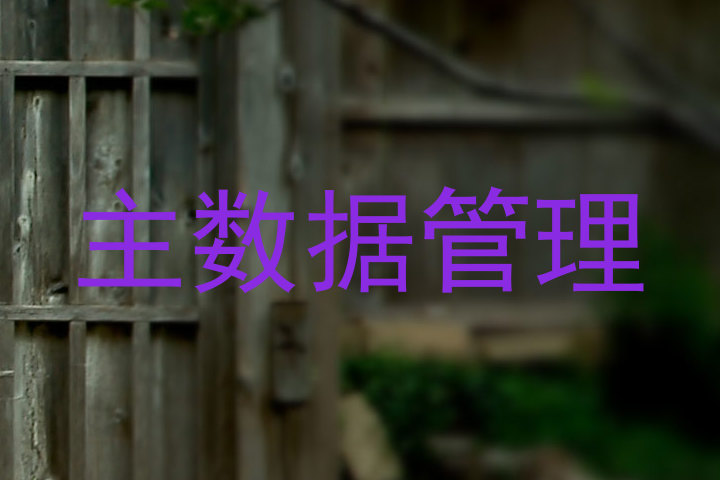 主数据管理