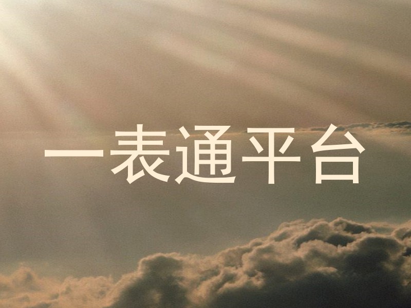 一表通平台