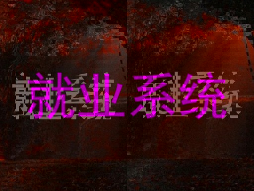 就业系统
