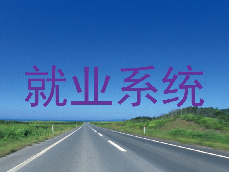 就业系统